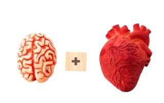 Concussion Heart and Brain