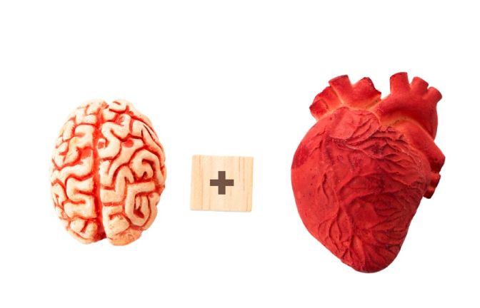Concussion Heart and Brain